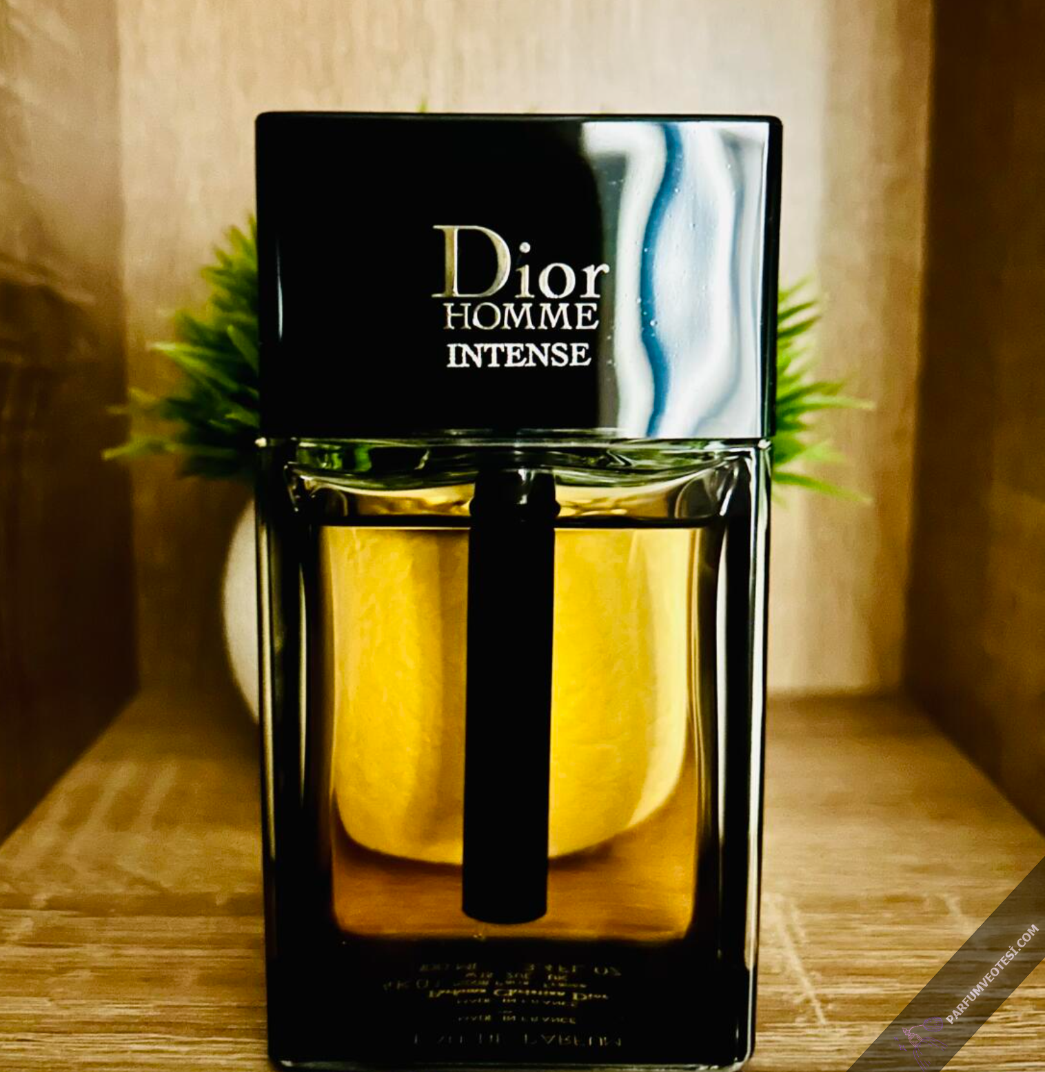 dior-home-intense.png