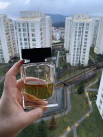 IMG_1992.jpeg